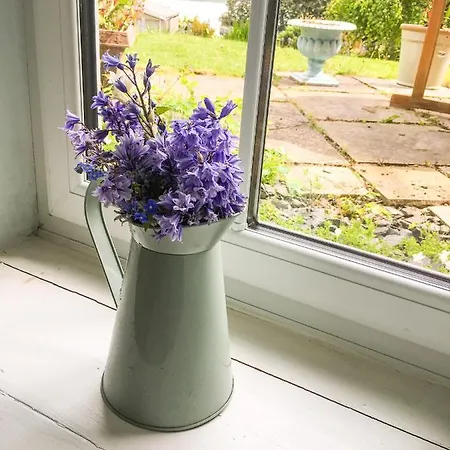 Apartment Garden
